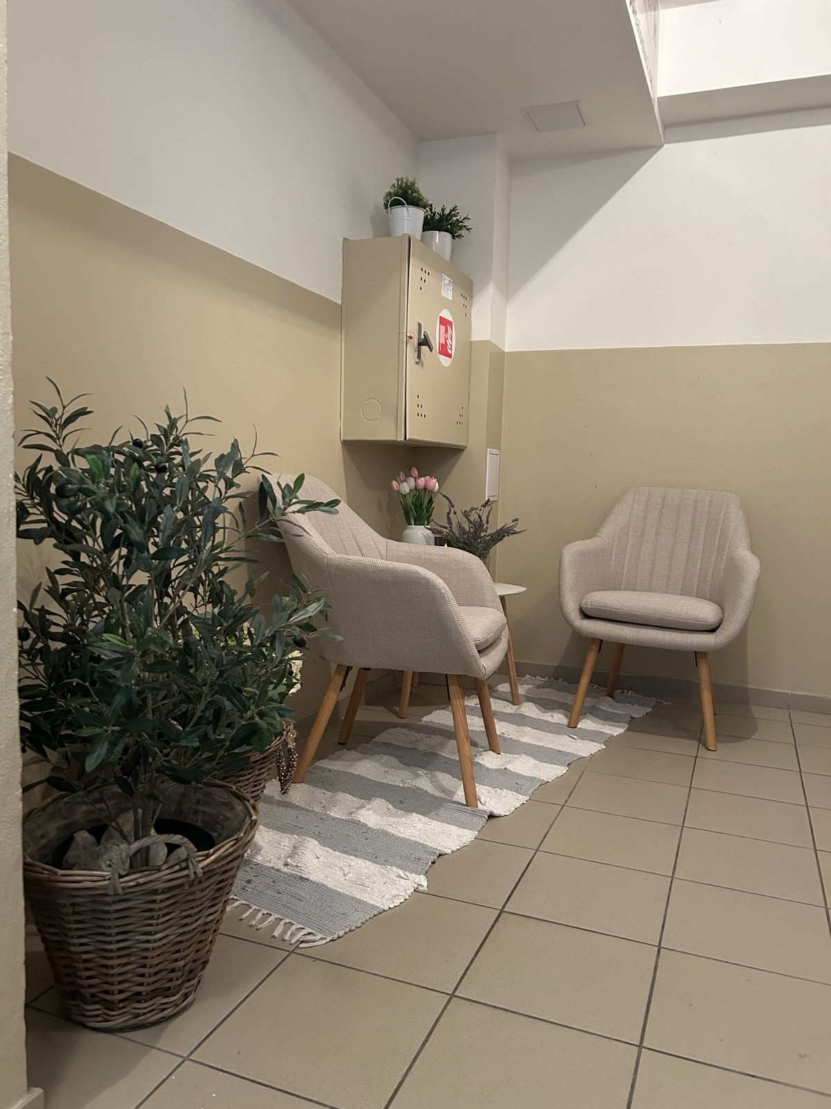 Psí salon LUCI - 9,4